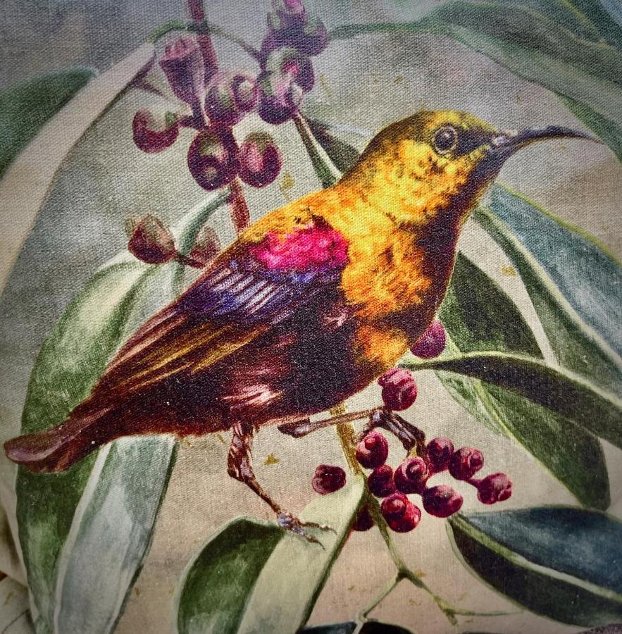 The Sunbird Leilighet Plettenberg Bay Eksteriør bilde